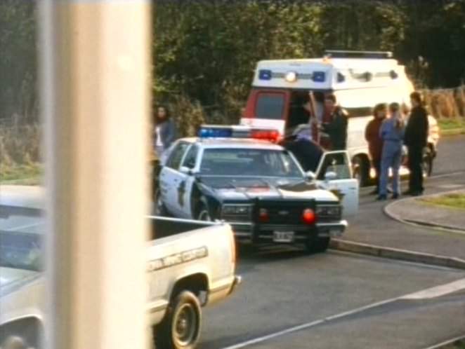 1977 Chevrolet Impala in Grim
