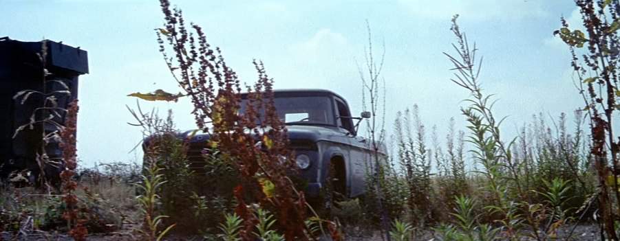 Dodge D-Series