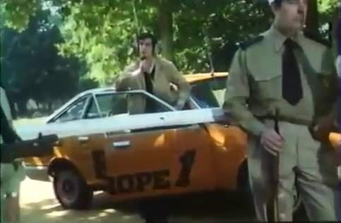 Simca 1307