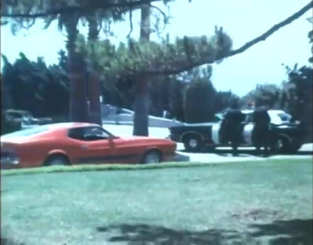 Ford Mustang Mach 1
