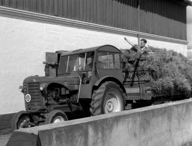 Massey-Harris 44 D
