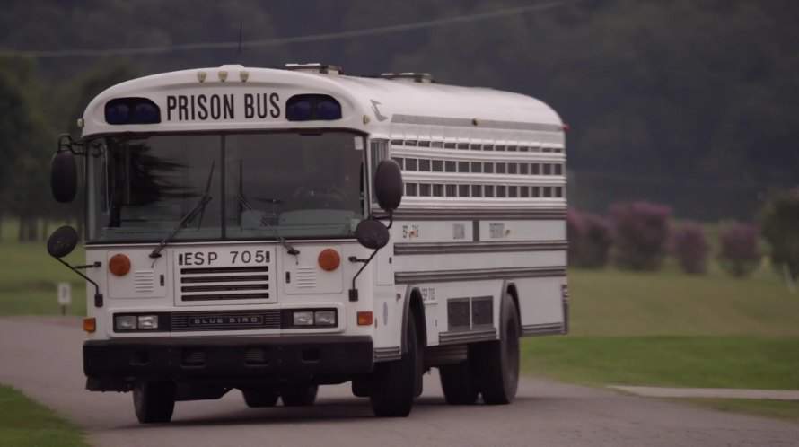 Blue Bird All American