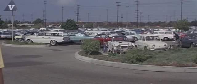 Rambler Ambassador Cross Country