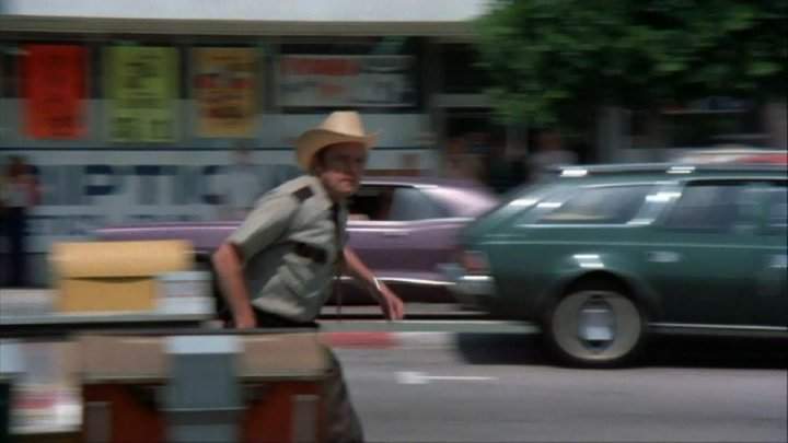 AMC Hornet Sportabout