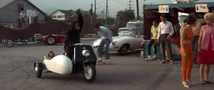 Harley-Davidson Topper