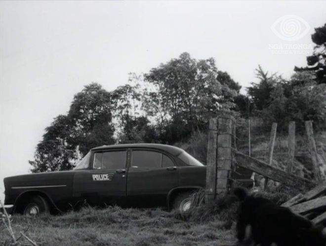 Holden Standard