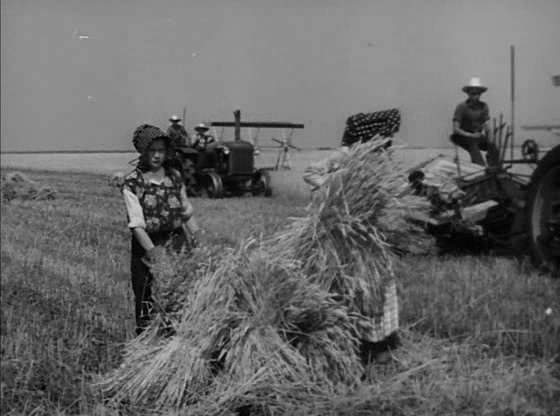 Case D in 49th Parallel
