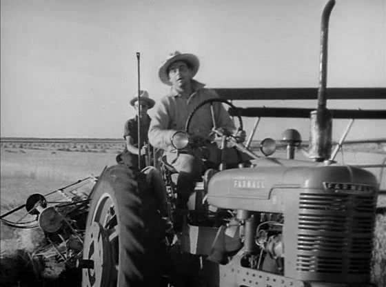 1939 Farmall H in 49th Parallel