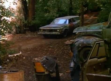 Chevrolet Light Delivery