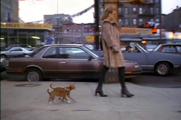 Oldsmobile Cutlass Ciera