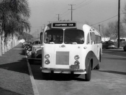 Beck Steeliner
