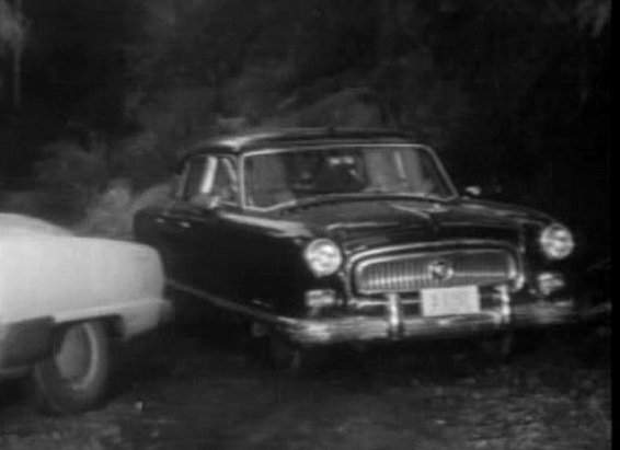 Nash Ambassador