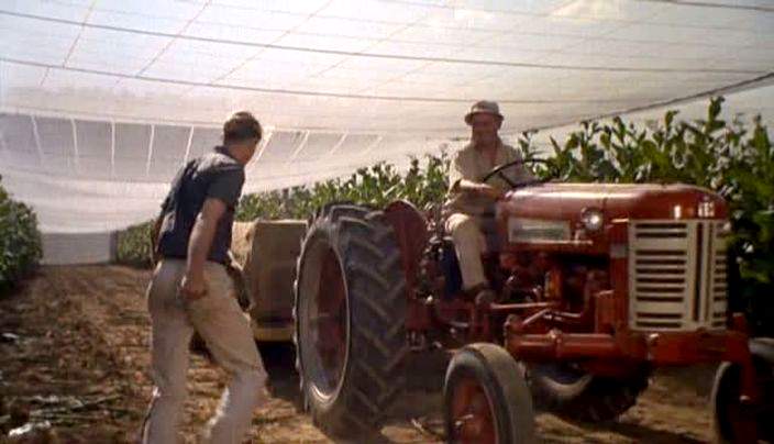 International Harvester Farmall 350