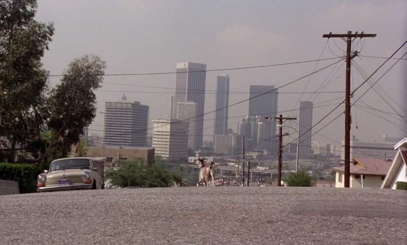 Volkswagen Squareback Sedan