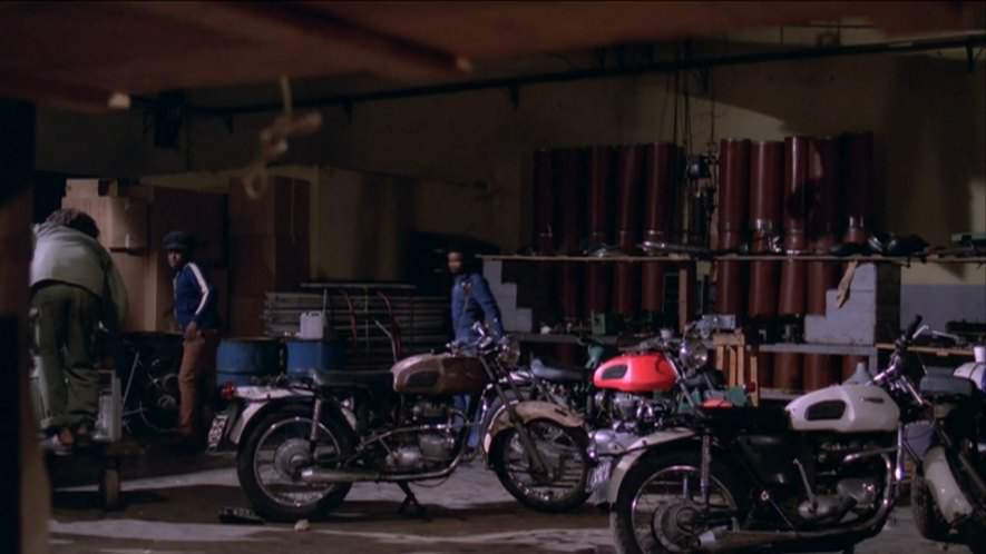 Triumph TR 6 P
