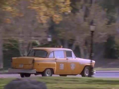 Checker Taxicab