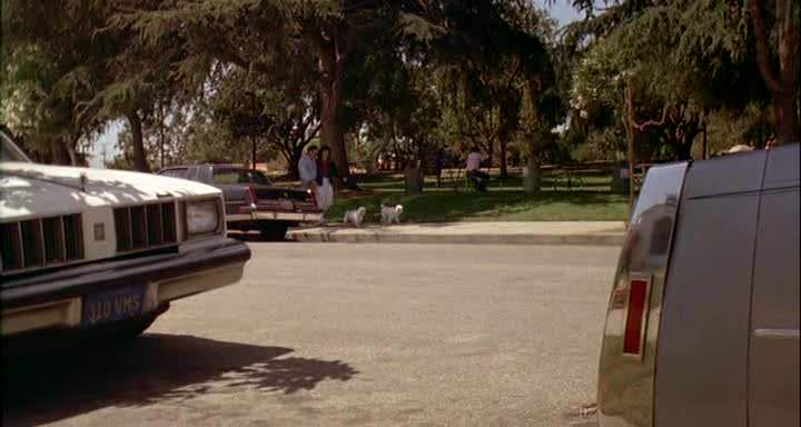 Oldsmobile Cutlass Salon