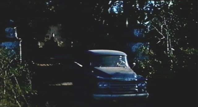 Dodge D-100