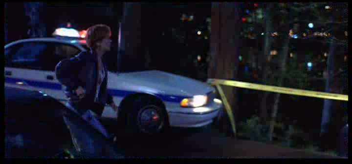 1991 Chevrolet Caprice in Hideaway