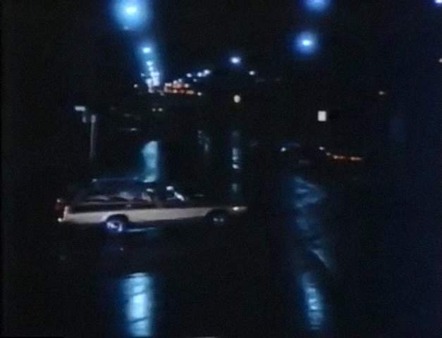 Dodge Monaco