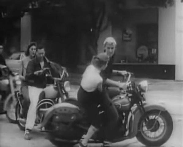 Harley-Davidson unknown