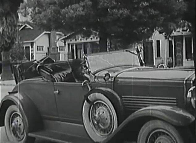 Windsor White Prince