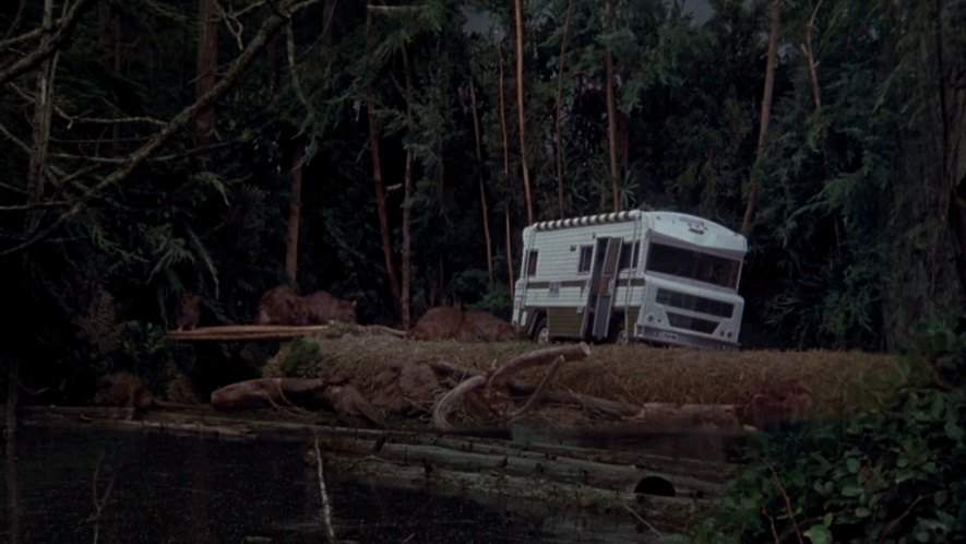 Winnebago Indian