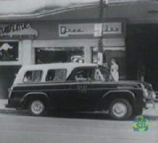 Ford F-100 Panel