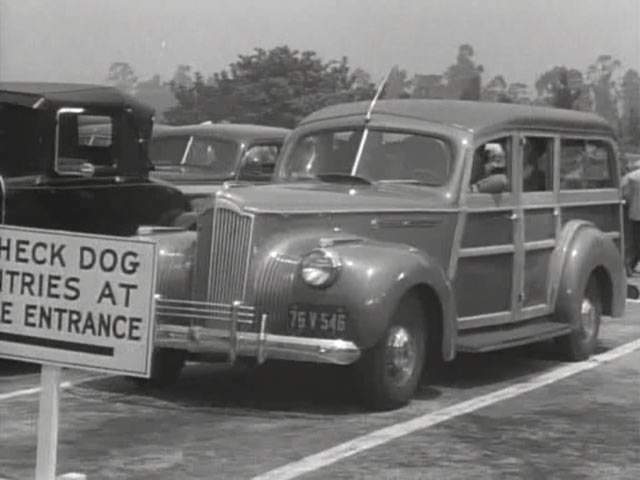Packard One-Ten Station Wagon