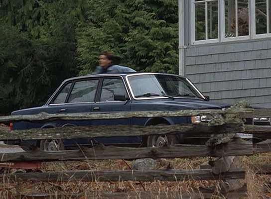 Volvo 244