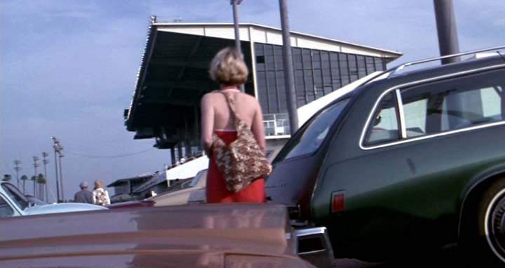 Oldsmobile Cutlass Supreme Cruiser