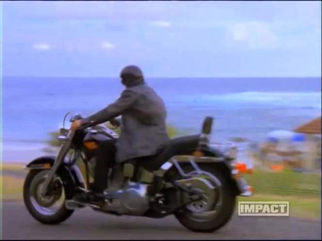 Harley-Davidson FLSTC Heritage Softail Classic