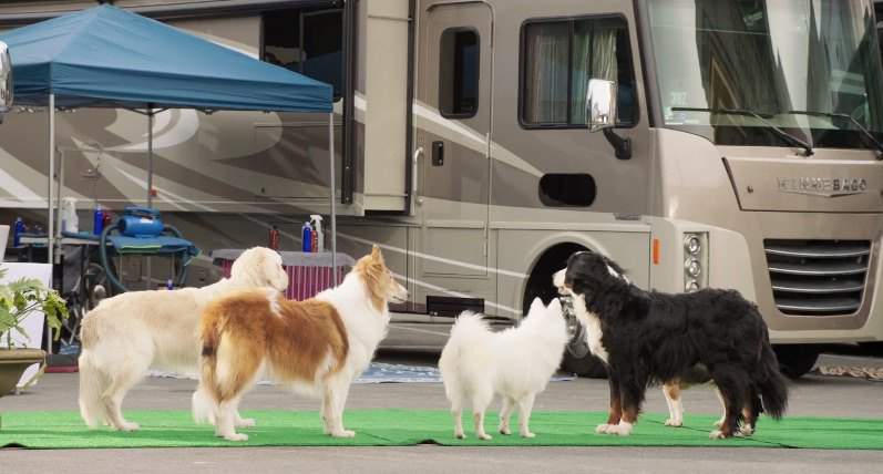 Winnebago Sightseer