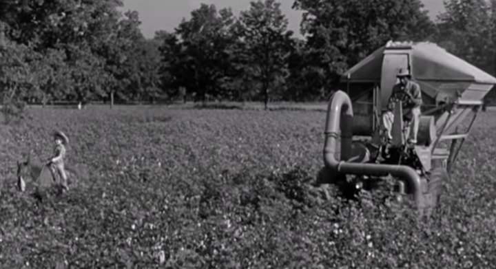 Farmall M