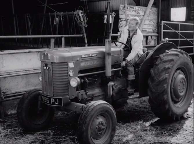 Massey Ferguson 65