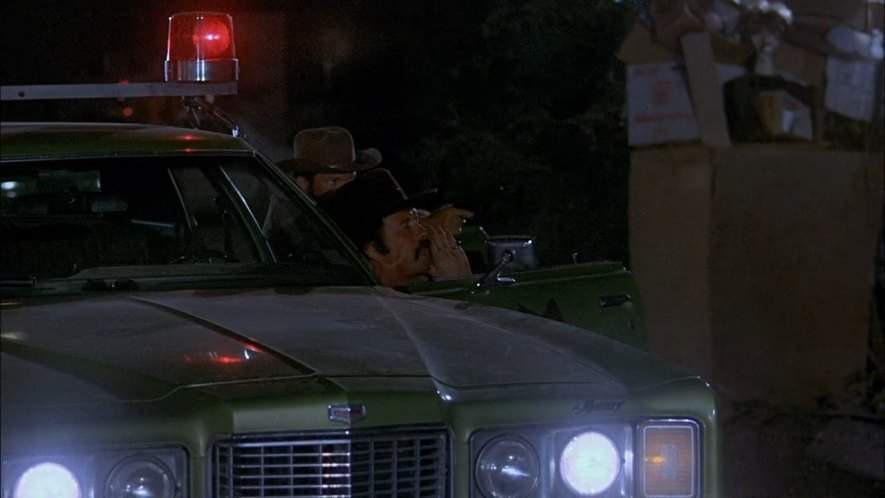 Mercury Montego