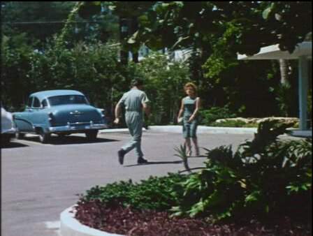 Buick Special