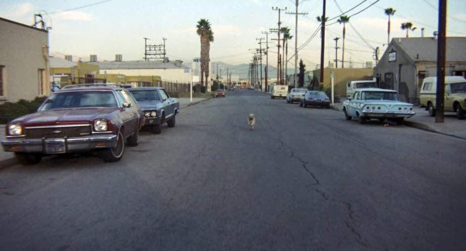 Chevrolet Chevelle Wagon