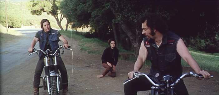 Triumph unknown