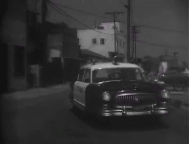 Nash Ambassador