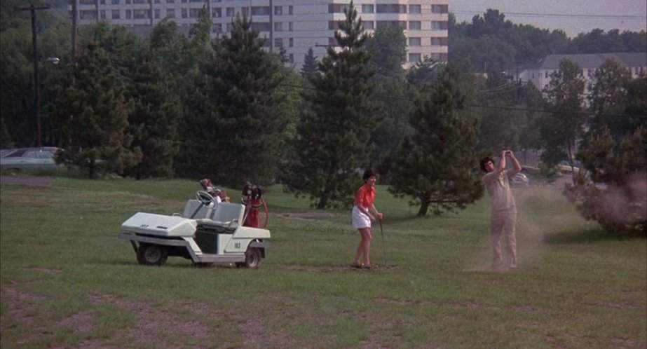 Cushman GC-300