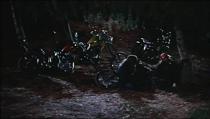 Harley-Davidson Panhead Chopper