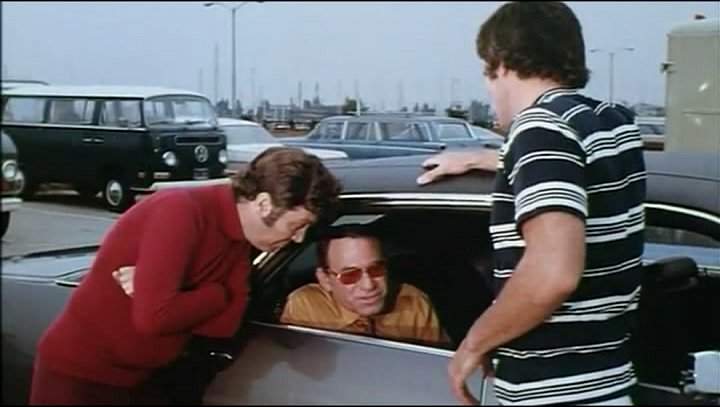 Volkswagen Station Wagon T2