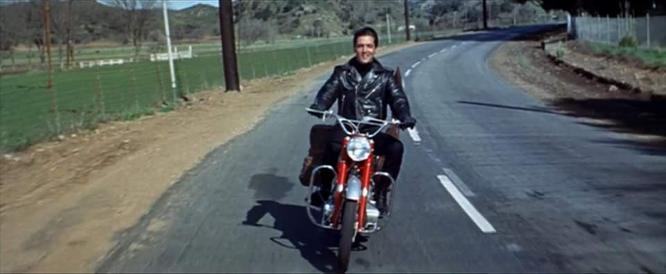 1964 Honda CB 77 in Roustabout