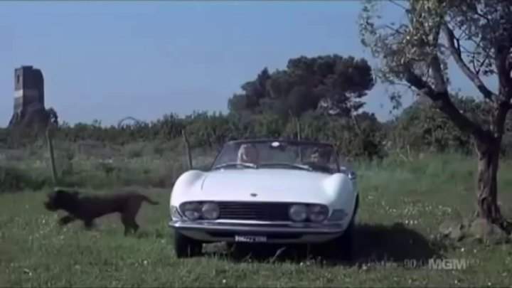 Fiat Dino Spider