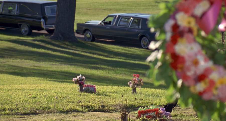 Lincoln Town Car Stretched Limousine