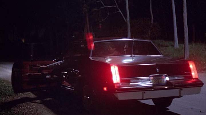 1981 Oldsmobile Cutlass Supreme in Dreamscape