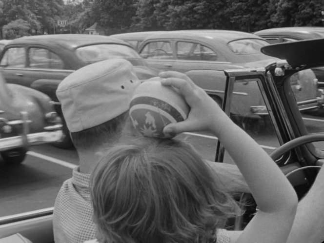 Dodge Wayfarer