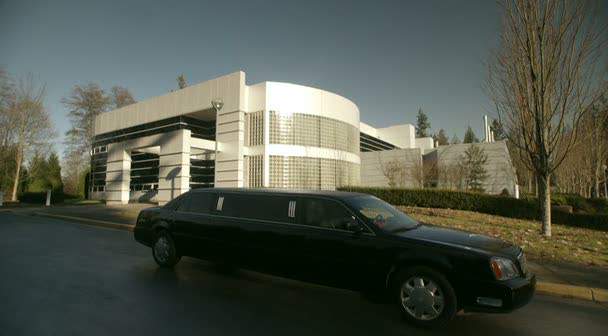 2000 Cadillac DeVille Stretched Limousine in Vipers