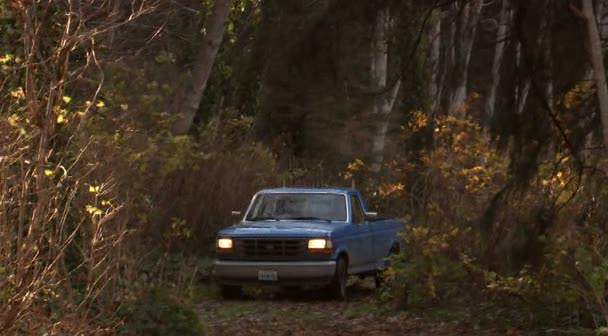 1994 Ford F-150 in Vipers